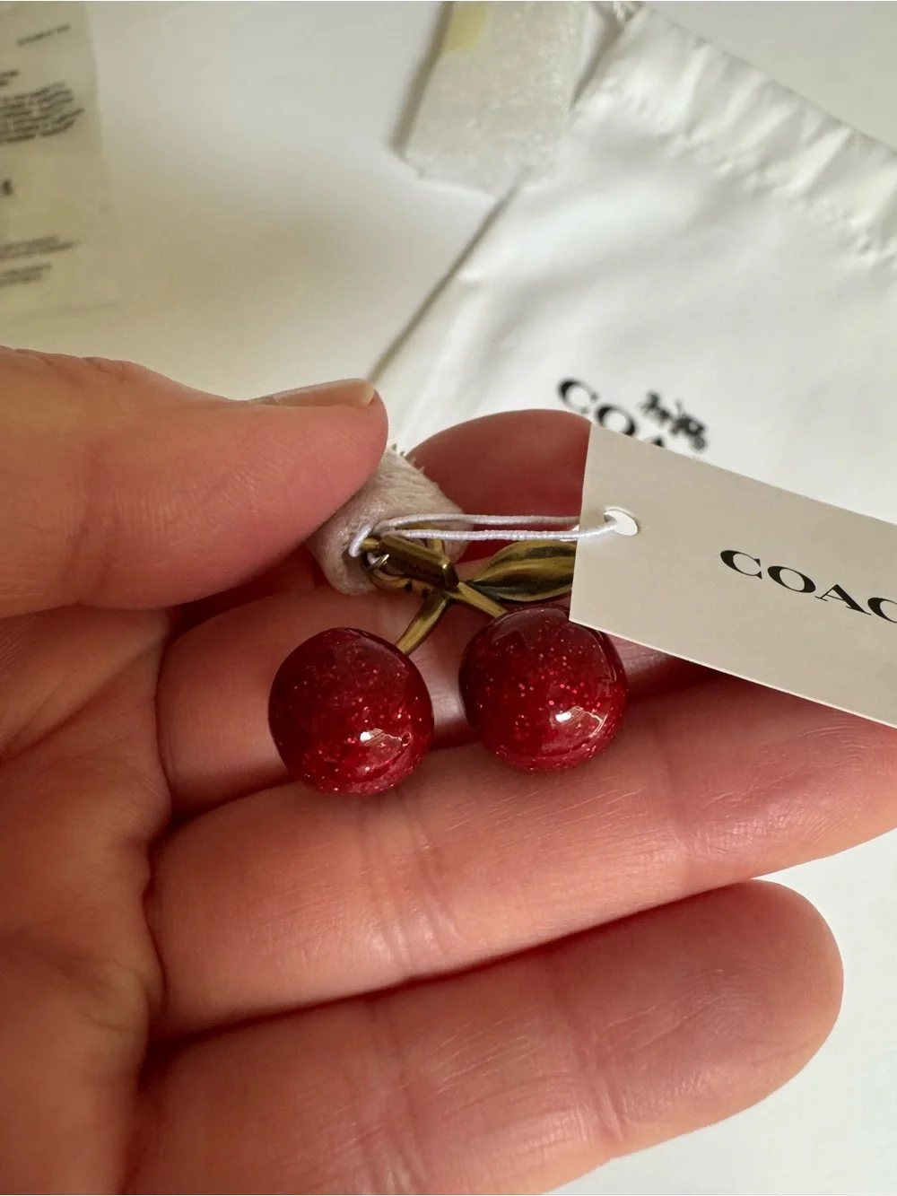 Coach CCX77 DIY Cherry Charm Brass Red Apple NWT Dust Bag